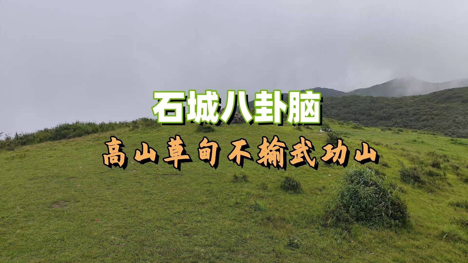 八卦脑，高山草甸不输武功山